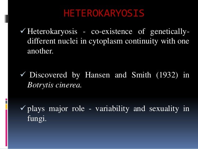 heterokaryosis in fungi